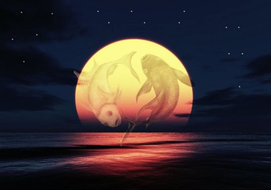 c2db157db9d2cb058d-75633607